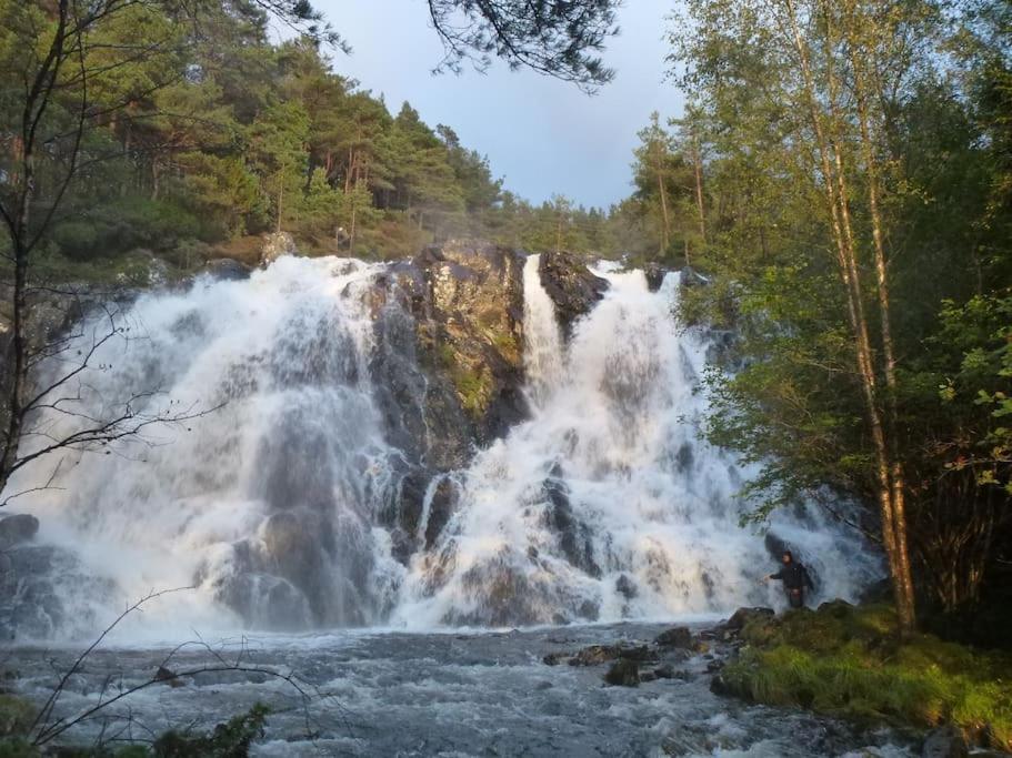 Alone In The Woods With Your Own River Nearby Fitjar Eksteriør bilde