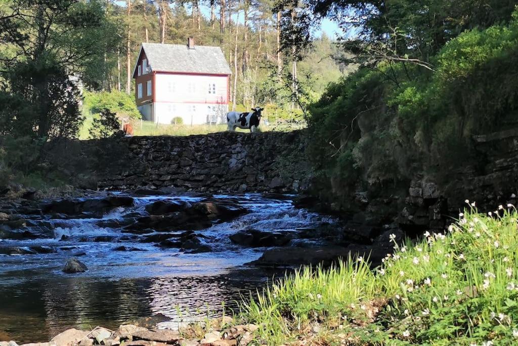Alone In The Woods With Your Own River Nearby Fitjar Eksteriør bilde